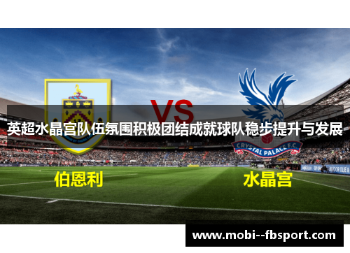 英超水晶宫队伍氛围积极团结成就球队稳步提升与发展 英超水晶宫队伍氛围积极团结成就球队稳步提升与发展
