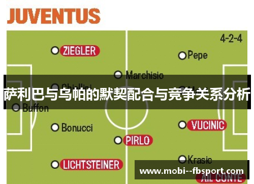 萨利巴与乌帕的默契配合与竞争关系分析