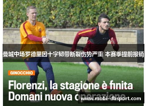 曼城中场罗德里因十字韧带断裂伤势严重 本赛季提前报销 曼城中场罗德里因十字韧带断裂伤势严重 本赛季提前报销