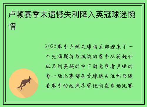 卢顿赛季末遗憾失利降入英冠球迷惋惜 卢顿赛季末遗憾失利降入英冠球迷惋惜
