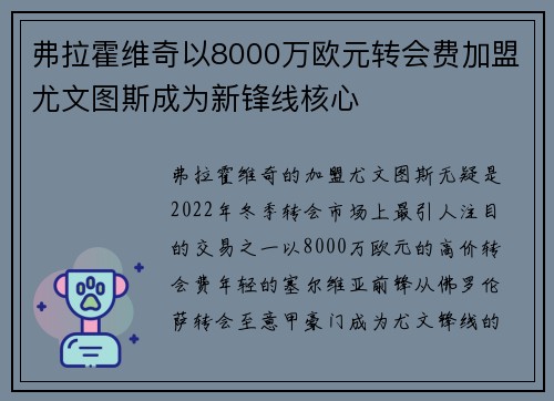 弗拉霍维奇以8000万欧元转会费加盟尤文图斯成为新锋线核心 弗拉霍维奇以8000万欧元转会费加盟尤文图斯成为新锋线核心
