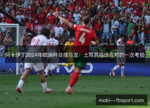 阿卡伊丁2024年欧洲杯自摆乌龙：土耳其临场应对的一次考验