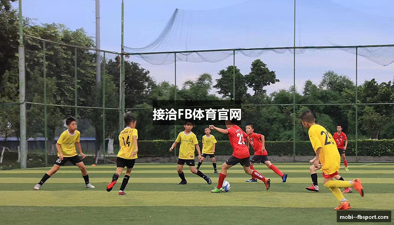 接洽FB体育官网